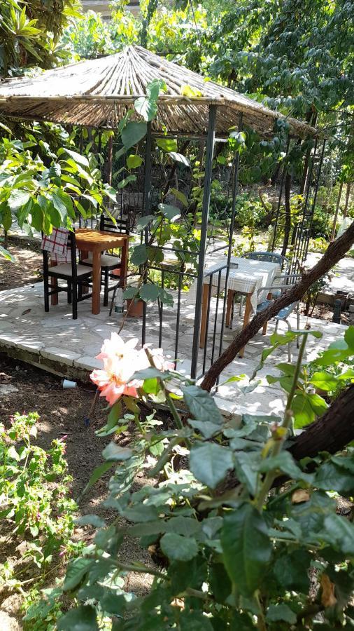 Camping Late Gjirokastër Esterno foto