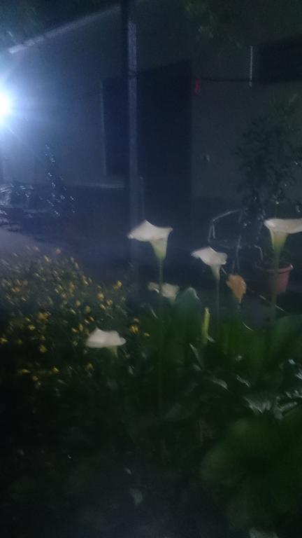 Camping Late Gjirokastër Esterno foto