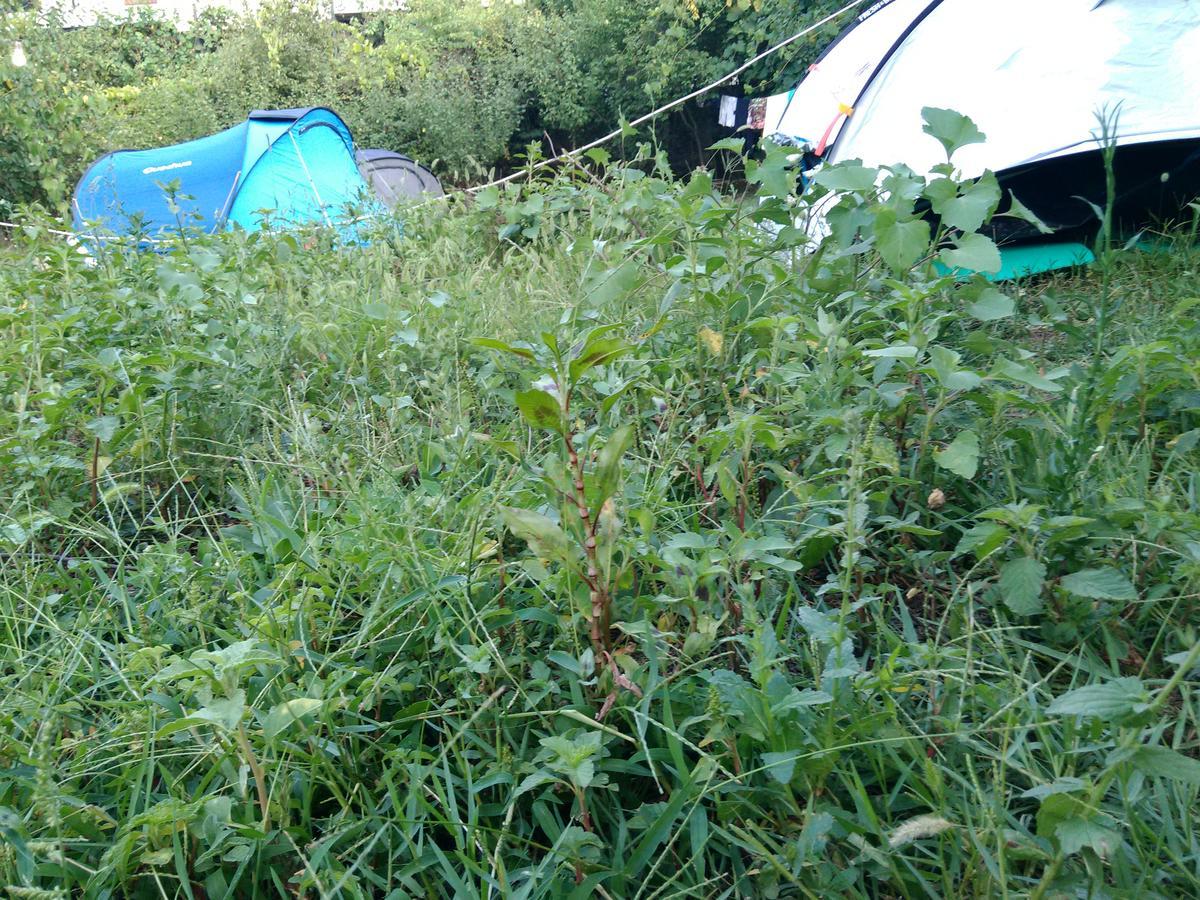Camping Late Gjirokastër Esterno foto